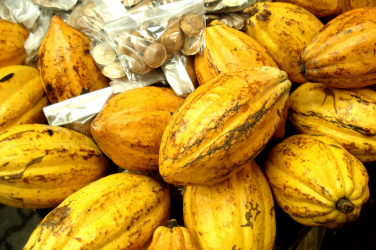 Raw Cocoa Butter is rich in Antioxidants