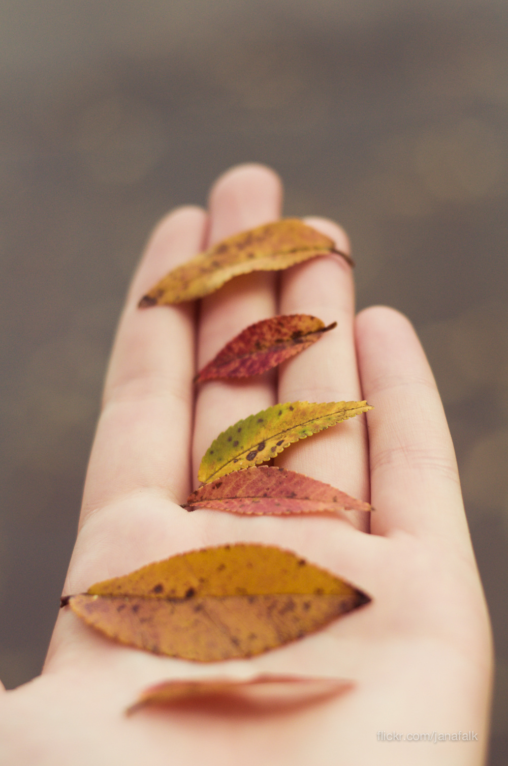 Treat Your Hands kindly.